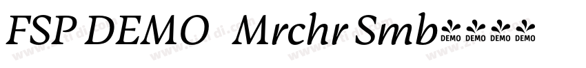 FSP DEMO   Mrchr Smb字体转换